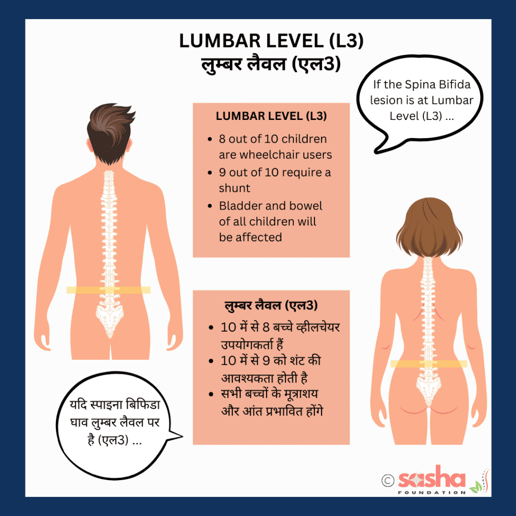 lumbar-founction-level-l3